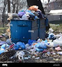 Best Yard Waste Removal  in Hamtramck, MI