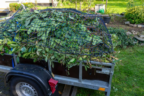 Best Construction Debris Removal  in Hamtramck, MI